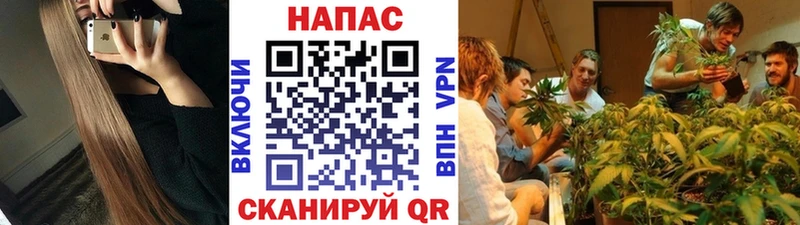 Какие есть наркотики Тайшет ГАШ  Каннабис  Кокаин  БУТИРАТ  МЕГА ссылки  СК  МЕФ 