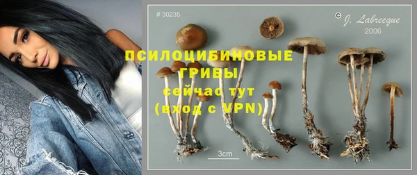 mdpv Липки