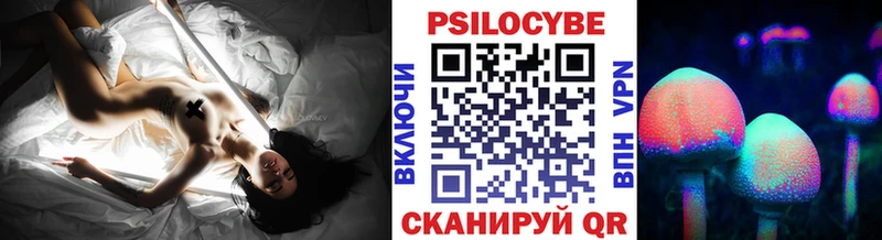 blacksprut   купить наркотик  Тайшет  Псилоцибиновые грибы Magic Shrooms 