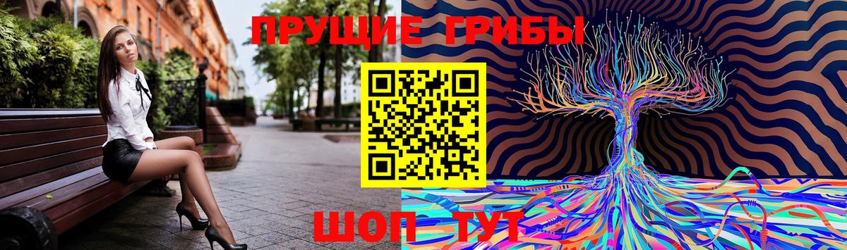 Псилоцибиновые грибы мицелий  купить   Тайшет  Вход с VPN 