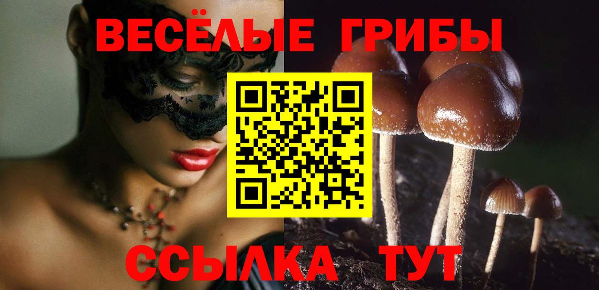 Галлюциногенные грибы Psilocybe  купить наркотики сайты  Галлюциногенные грибы Magic Shrooms  Тайшет 